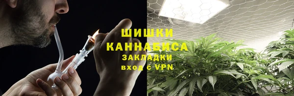 соль ск Пестово