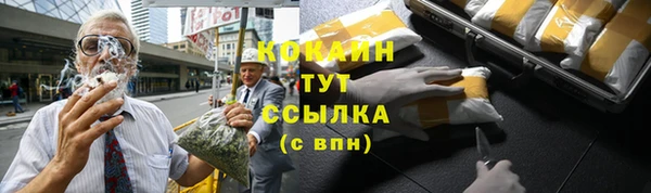 гидропоника Елабуга