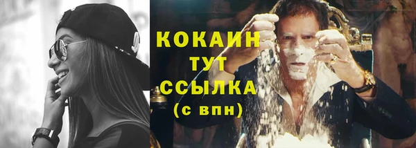 соль ск Пестово