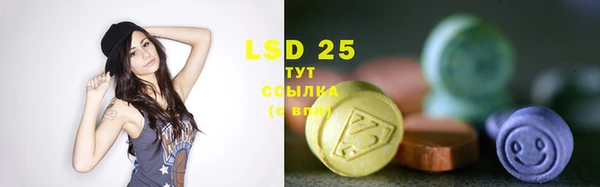 гидропоника Елабуга