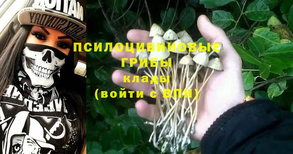 гидропоника Елабуга