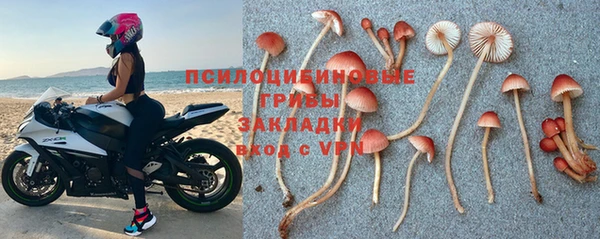 соль ск Пестово