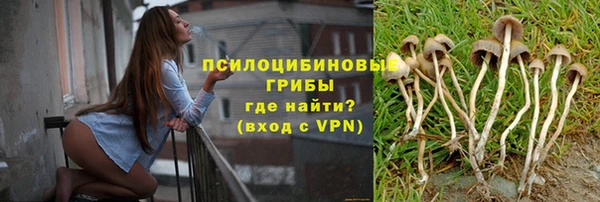 прущий лед Пересвет