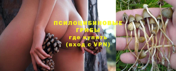 прущий лед Пересвет