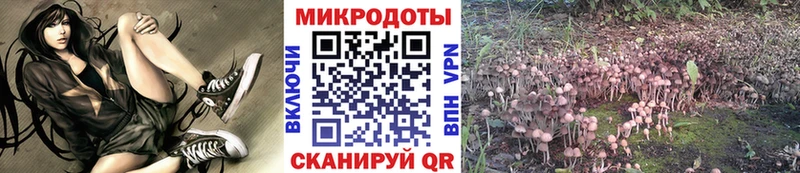 Галлюциногенные грибы мухоморы  где продают   площадка какой сайт  Кашира  блэк спрут tor 