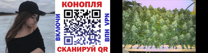 маркетплейс клад  дарнет шоп  Кашира  Конопля Ganja 